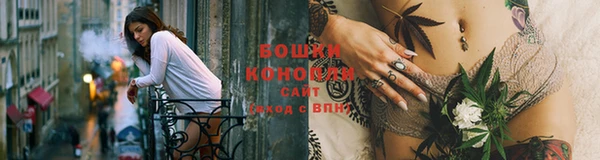 шишки Козловка