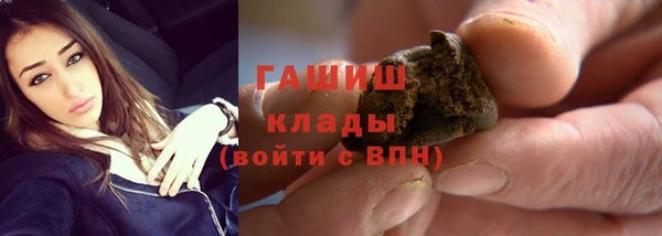 шишки Кодинск