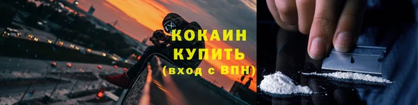 шишки Козловка