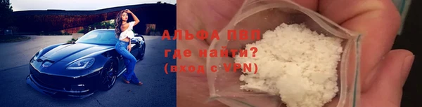 стафф Козельск