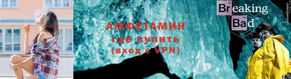 шишки Кодинск