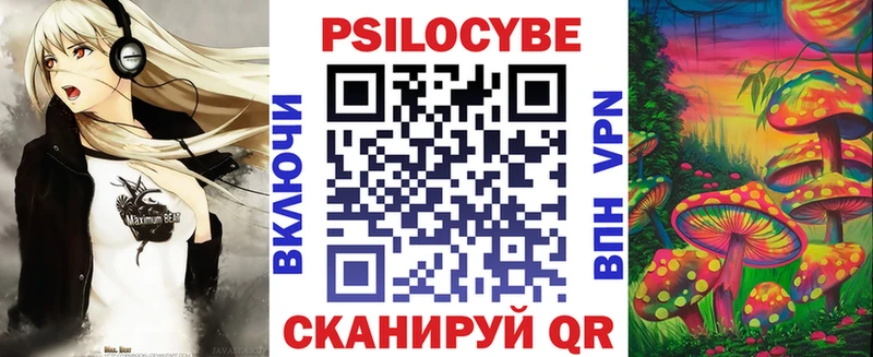 где можно купить   Костерёво  Галлюциногенные грибы MAGIC MUSHROOMS 